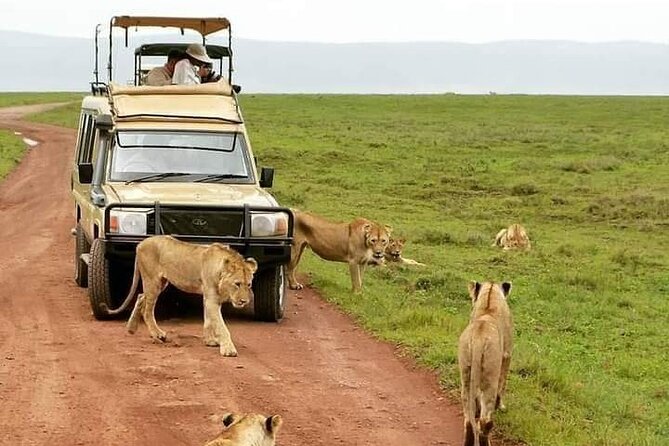 Serengeti Luxury Camp